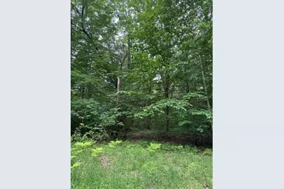 114 Bluff Drive, Leroy, MI 49655 - Photo 3