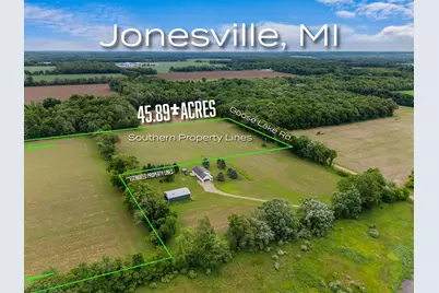 00 Goose Lake Road, Jonesville, MI 49250 - Photo 3