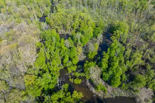 42083 40th St, Paw Paw, MI 49079 - Photo 35