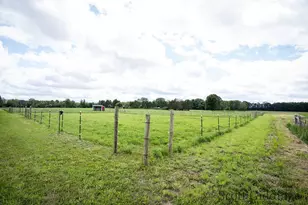 8884 S Townhall Rd, Sheridan, MI 48884 - Photo 19