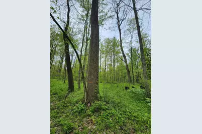 11265 Teasdale Lake Street, Constantine, MI 49042 - Photo 9