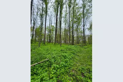11265 Teasdale Lake Street, Constantine, MI 49042 - Photo 11