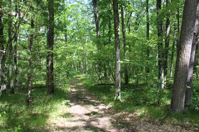 11870 Bayer Road, Roscommon, MI 48653 - Photo 41