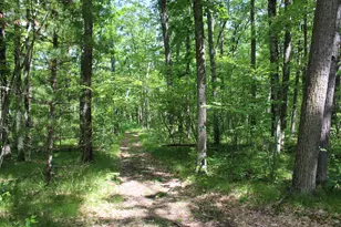 11870 Bayer Rd, Roscommon, MI 48653 - Photo 41