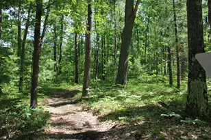 11870 Bayer Rd, Roscommon, MI 48653 - Photo 39