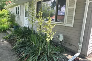 1560 Magnolia St, Kalamazoo, MI 49048 - Photo 7