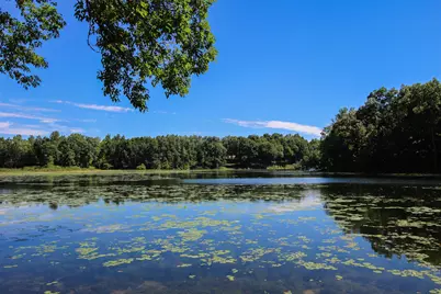 60061 Shafer Brothers Road, Three Rivers, MI 49093 - Photo 35