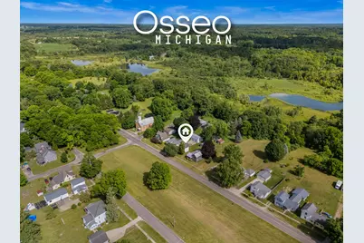 5388 Beecher Road, Osseo, MI 49266 - Photo 41