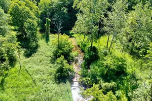 10088 S Brucker Ave, Fremont, MI 49412 - Photo 43