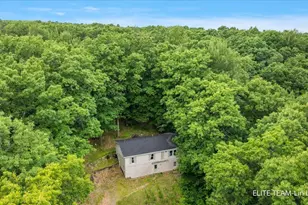 6718 Schmeid Rd, Lakeview, MI 48850 - Photo 3