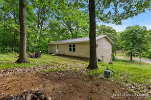 6718 Schmeid Rd, Lakeview, MI 48850 - Photo 47