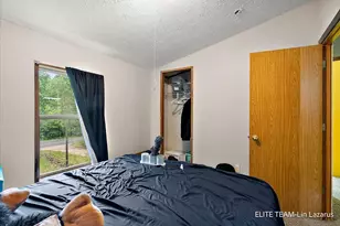 6718 Schmeid Rd, Lakeview, MI 48850 - Photo 25