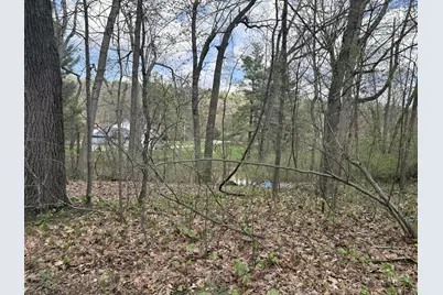 8091 Poplar Drive, Reading, MI 49274 - Photo 5