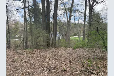 8091 Poplar Drive, Reading, MI 49274 - Photo 1
