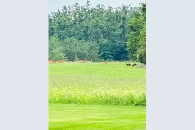 1976 Estelle Road, Gaylord, MI 49735 - Photo 89