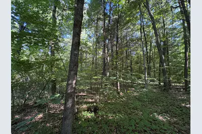 104th Avenue, Allegan, MI 49010 - Photo 3