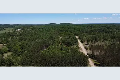 7.91 Acres Butwell Road, Bear Lake, MI 49614 - Photo 21