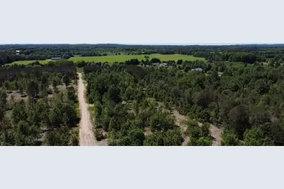 7.91 Acres Butwell Road, Bear Lake, MI 49614 - Photo 7