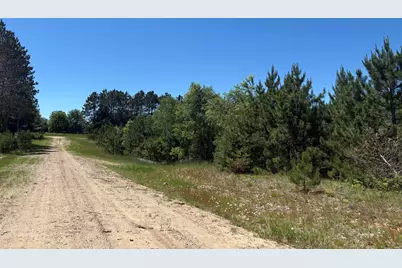 7.91 Acres Butwell Road, Bear Lake, MI 49614 - Photo 3