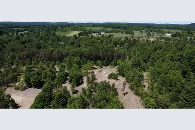 7.91 Acres Butwell Road, Bear Lake, MI 49614 - Photo 19