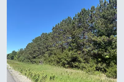 7.91 Acres Butwell Road, Bear Lake, MI 49614 - Photo 1