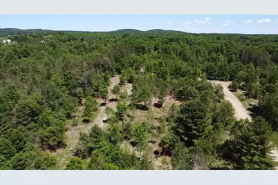 7.91 Acres Butwell Road, Bear Lake, MI 49614 - Photo 5
