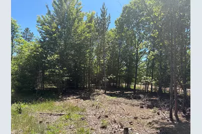 7.91 Acres Butwell Road, Bear Lake, MI 49614 - Photo 13