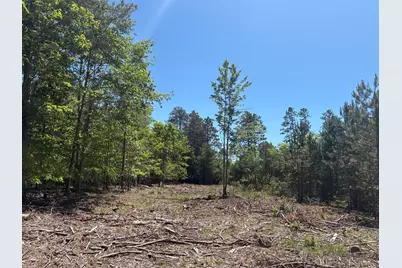 5.67 Acres Norconk Road, Bear Lake, MI 49614 - Photo 5