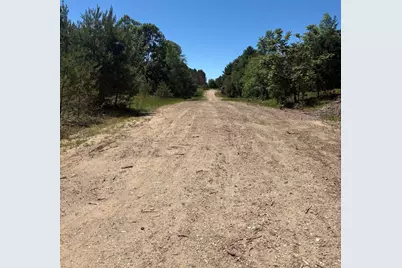 5.67 Acres Norconk Road, Bear Lake, MI 49614 - Photo 15