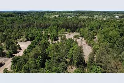 5.67 Acres Norconk Road, Bear Lake, MI 49614 - Photo 3