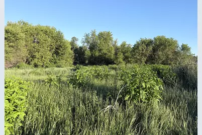 8375 S Stony Lake Road, Jackson, MI 49201 - Photo 23