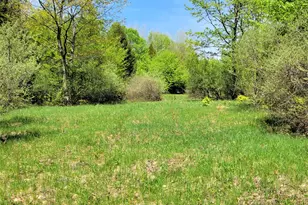 Smith Rd, Onekama, MI 49675 - Photo 1