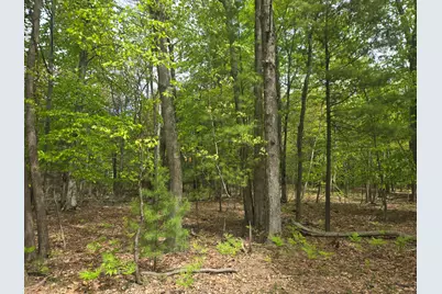 Vl 10 Acre N Ridge Road Road, Mears, MI 49436 - Photo 1