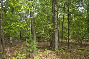 Vl 10 Acre N Ridge Road Rd, Mears, MI 49436 - Photo 1