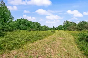 11592 80th Ave, Mecosta, MI 49332 - Photo 39