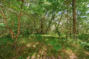 11592 80th Ave, Mecosta, MI 49332 - Photo 27