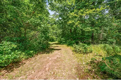 11592 80th Avenue, Mecosta, MI 49332 - Photo 35