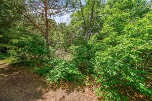 11592 80th Ave, Mecosta, MI 49332 - Photo 33