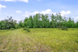 11592 80th Ave, Mecosta, MI 49332 - Photo 47