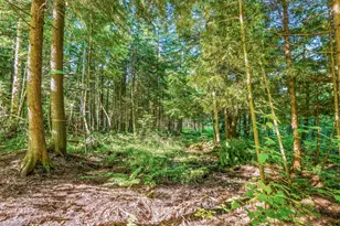 15971 Penesal Rd, Leroy, MI 49655 - Photo 25