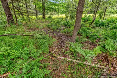 V/L E Kinney Rd, Branch, MI 49402 - Photo 27