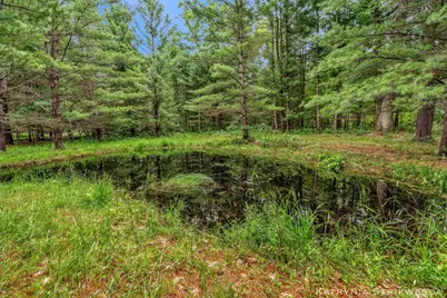 V/L E Kinney Rd, Branch, MI 49402 - Photo 21