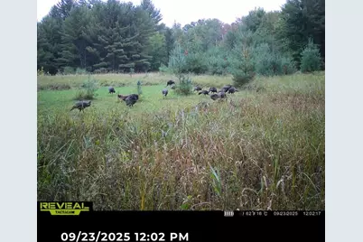 V/L E Kinney Rd, Branch, MI 49402 - Photo 31