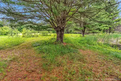 V/L E Kinney Rd, Branch, MI 49402 - Photo 17