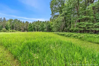 V/L E Kinney Rd, Branch, MI 49402 - Photo 25