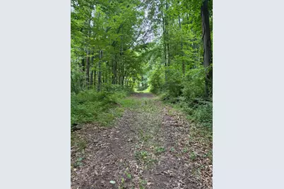 52402 Oak Plains Road, Three Rivers, MI 49093 - Photo 31