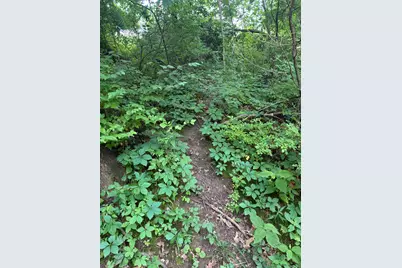 52402 Oak Plains Road, Three Rivers, MI 49093 - Photo 25