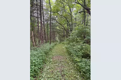52402 Oak Plains Road, Three Rivers, MI 49093 - Photo 45