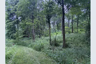52402 Oak Plains Road, Three Rivers, MI 49093 - Photo 27