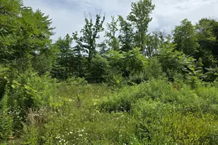 9285 Sassafras Trail, Portage, MI 49002 - Photo 3